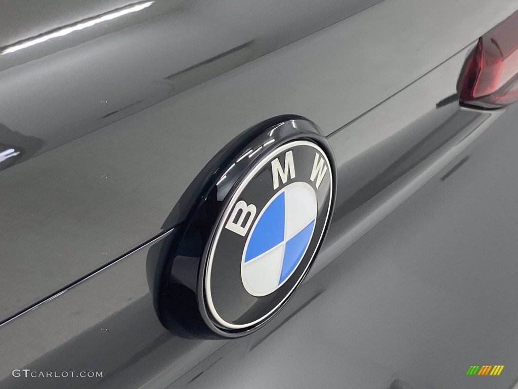 2022 BMW X6 M50i Marks and Logos Photo #142765029