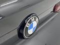 2022 BMW X6 M50i Badge and Logo Photo
