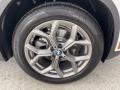 2022 BMW X4 xDrive30i Wheel and Tire Photo