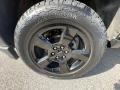 2017 Chevrolet Silverado 1500 WT Regular Cab 4x4 Wheel and Tire Photo