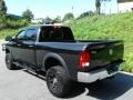 Brilliant Black Crystal Pearl - 2500 Power Wagon Crew Cab 4x4 Photo No. 13