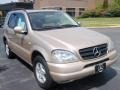 2001 Desert Silver Metallic Mercedes-Benz ML 320 4Matic  photo #3