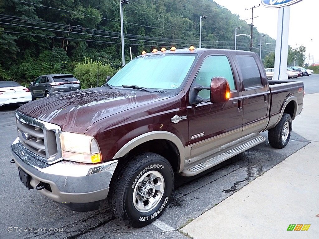 2004 F350 Super Duty King Ranch Crew Cab 4x4 - Chestnut Brown Metallic / Castano Brown Leather photo #6