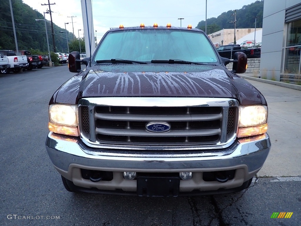 2004 F350 Super Duty King Ranch Crew Cab 4x4 - Chestnut Brown Metallic / Castano Brown Leather photo #7
