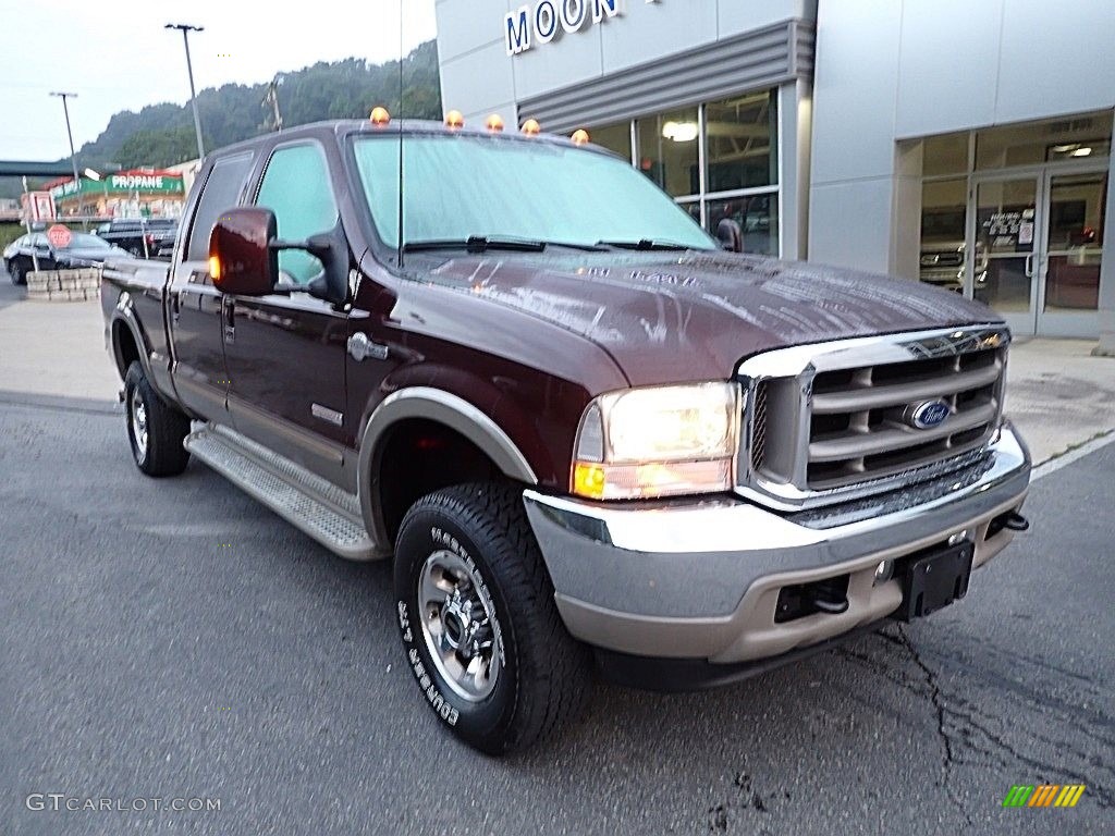 2004 F350 Super Duty King Ranch Crew Cab 4x4 - Chestnut Brown Metallic / Castano Brown Leather photo #8