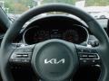 Black Steering Wheel Photo for 2022 Kia Stinger #142775781