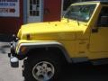 2001 Solar Yellow Jeep Wrangler Sport 4x4  photo #8