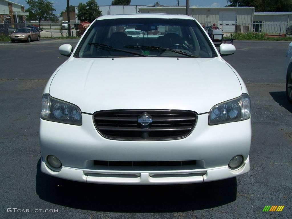 2001 Maxima SE - Icelandic White Pearl / Frost photo #1