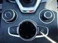 Black Controls Photo for 2021 Alfa Romeo Stelvio #142805016