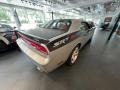 Bright Silver Metallic - Challenger SRT8 Photo No. 7