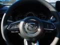 Polymetal Gray - CX-9 Carbon Edition AWD Photo No. 20