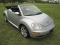 Reflex Silver - New Beetle 2.5 Convertible Photo No. 38