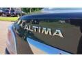 2014 Storm Blue Nissan Altima 2.5 SV  photo #10