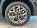 2022 BMW X3 xDrive30i Wheel and Tire Photo