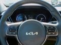 Charcoal Steering Wheel Photo for 2022 Kia Niro #142826843