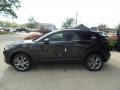 Jet Black Mica - CX-30 Premium AWD Photo No. 6