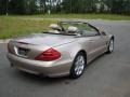 Desert Silver Metallic - SL 500 Roadster Photo No. 8