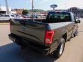 2017 Magnetic Ford F150 XL Regular Cab 4x4  photo #2