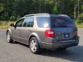 Dark Shadow Grey Metallic - Freestyle Limited AWD Photo No. 3