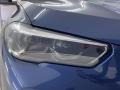 2022 Phytonic Blue Metallic BMW X5 xDrive40i  photo #4