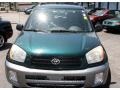 Rainforest Green Pearl - RAV4  Photo No. 2