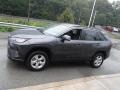 Magnetic Gray Metallic - RAV4 XLE AWD Photo No. 13