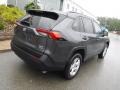 Magnetic Gray Metallic - RAV4 XLE AWD Photo No. 17