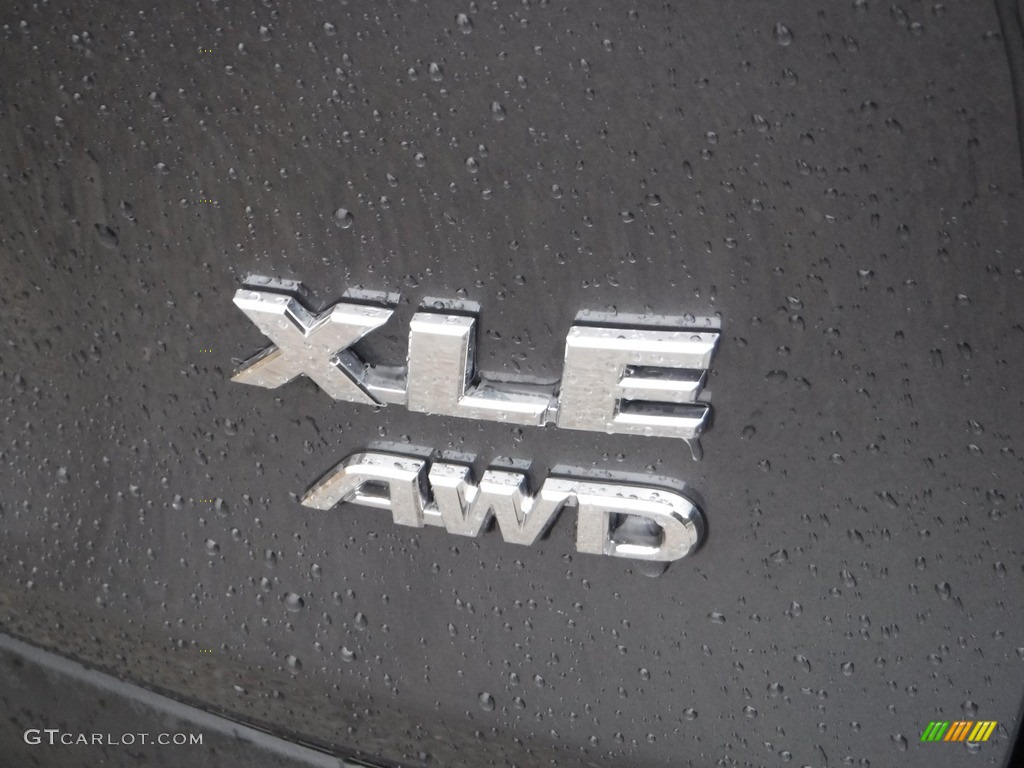 2021 RAV4 XLE AWD - Magnetic Gray Metallic / Black photo #18