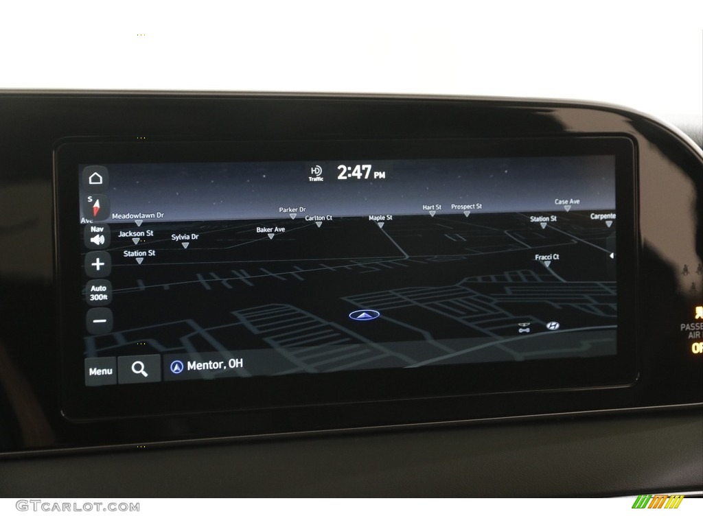 2021 Palisade Limited AWD - Rainforest / Black photo #12