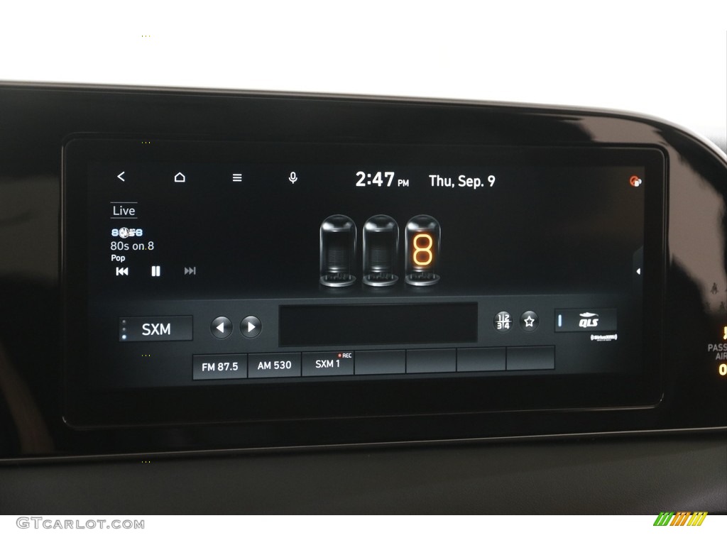 2021 Palisade Limited AWD - Rainforest / Black photo #13