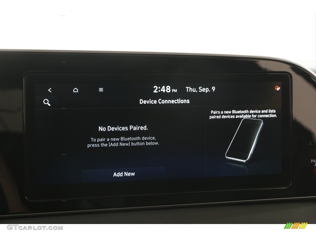 2021 Palisade Limited AWD - Rainforest / Black photo #14