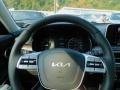 2022 Kia Telluride Black Interior Steering Wheel Photo