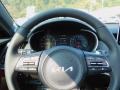 Black Steering Wheel Photo for 2022 Kia Stinger #142875406