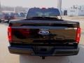 Agate Black - F150 XL SuperCrew 4x4 Photo No. 3