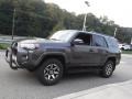 Magnetic Gray Metallic - 4Runner TRD Off-Road 4x4 Photo No. 14