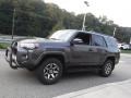 2019 Magnetic Gray Metallic Toyota 4Runner TRD Off-Road 4x4  photo #14