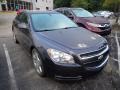 2010 Taupe Gray Metallic Chevrolet Malibu LT Sedan  photo #5