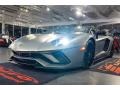 2019 Grigio Titans Matt Lamborghini Aventador S Roadster  photo #16