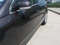 Mocha Brown - Passat 3.6 Sedan Photo No. 26