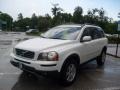 Ice White - XC90 3.2 Photo No. 7