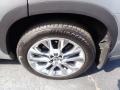 Celestial Silver Metallic - Highlander Hybrid Limited AWD Photo No. 14