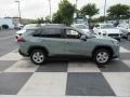 Lunar Rock - RAV4 XLE Photo No. 3