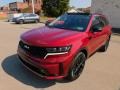 Passion Red Tint Coat - Sorento SX AWD Photo No. 7