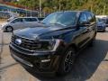 Agate Black 2021 Ford Expedition Limited Stealth Package 4x4 Exterior