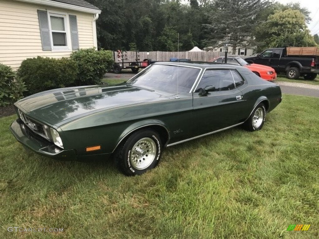 1973 Mustang Hardtop Grande - Dark Green Metallic / Black photo #1