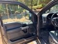 2019 Magnetic Ford F150 Platinum SuperCrew 4x4  photo #8