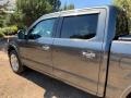 2019 Magnetic Ford F150 Platinum SuperCrew 4x4  photo #47