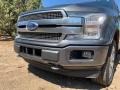 Magnetic - F150 Platinum SuperCrew 4x4 Photo No. 64