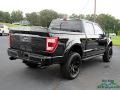 Agate Black - F150 Shelby Off-Road SuperCrew 4x4 Photo No. 5