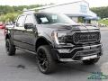 Agate Black - F150 Shelby Off-Road SuperCrew 4x4 Photo No. 7